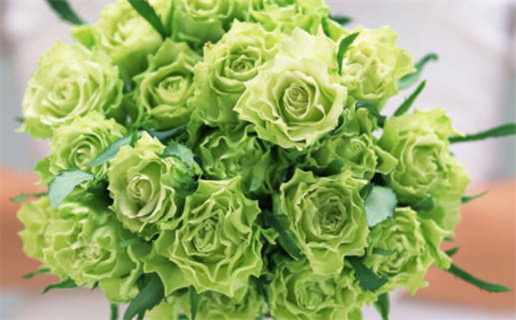 八字事业官运算命免费_八字事业官运算命免费2026年