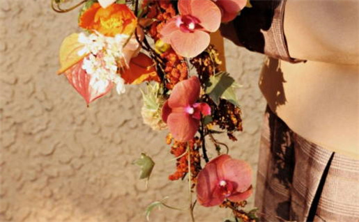 麦玲玲八字算命(麦玲玲八字测算太准)