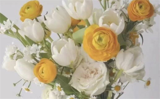 八字算命揭秘人生运势与命理解析