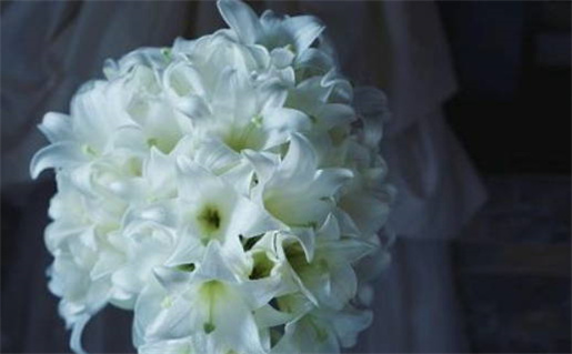 生辰八字算命结婚吉日_生辰八字算命结婚吉日的方法