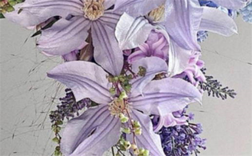 免费八字算命揭秘命运与运势的奥秘