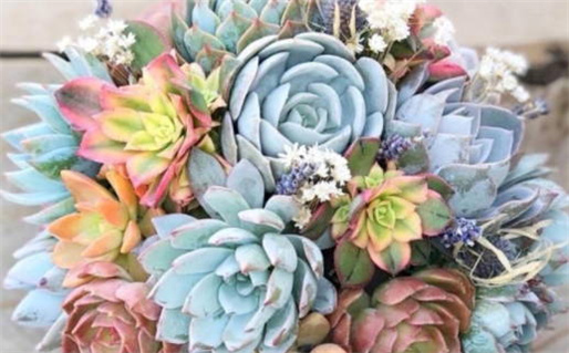 八字算命入门指南：掌握命理知识一步到位