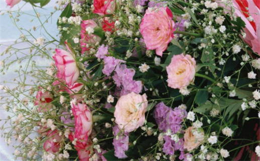 在线八字算命揭秘你的命运与人生选择