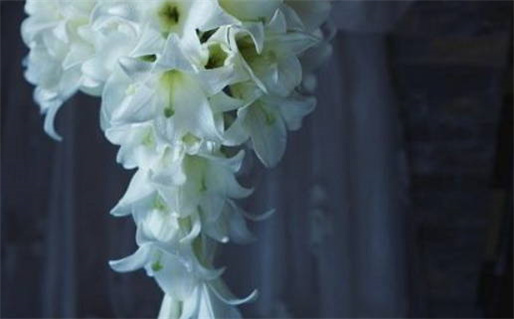 八字算命详解助你掌握命运与人生方向