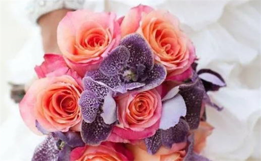 八字算命起名(八字算命起名免费)