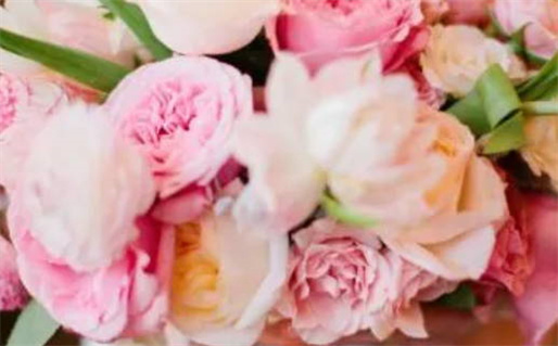 八字算命术语详解解锁命理智慧与人生选择