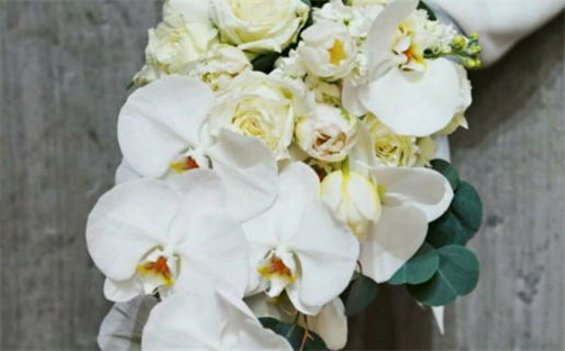 算命免费解除婚姻(算命免费 婚姻)