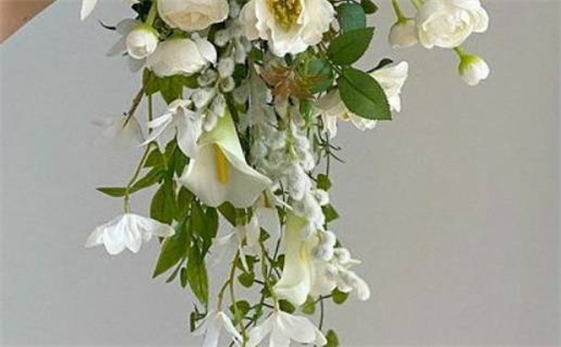 2027年01月10日领证黄历查询