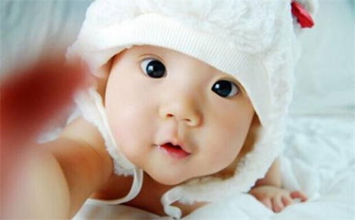 张姓男孩子取名