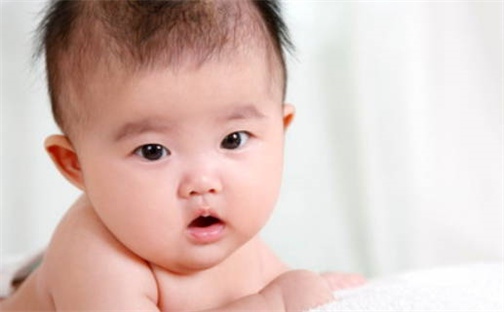 胡姓女孩书香气质名字精选489个，好听有寓意