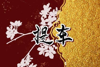 农历二〇二九年十月初三黄历提取爱车不适宜吗,这天提车合适吗