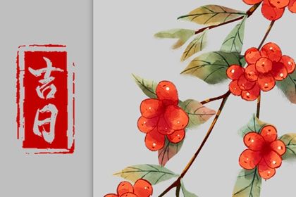 "2030年7月20日提车指南：如何选择最佳时机与注意事项"
